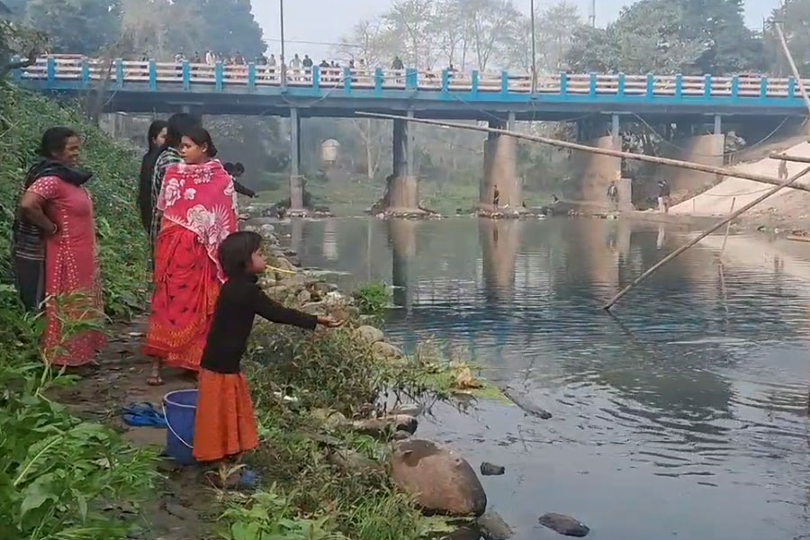 lot of fish have floated in the Karla River in Jalpaiguri
