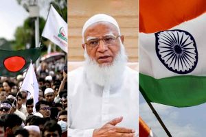 ‘দেখুন কত রঙিন…’, ভারতের সঙ্গে সম্পর্ক নিয়ে জামাত প্রধানের সরস মন্তব্য ভাইরাল