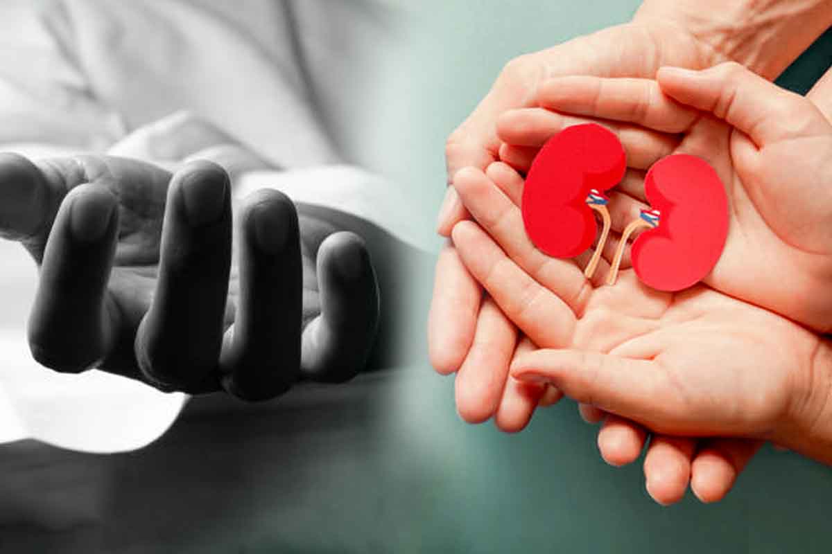 কিডনি দেন দ্বিতীয় স্ত্রী, কলকাতায় প্রতিস্থাপনের পর ফেরেন প্রথমার কাছে! দু’বছর পর মৃত্যু যুবকের