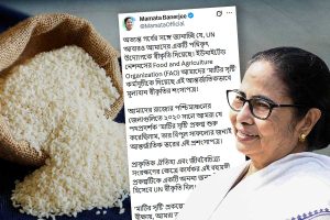রাজ্যের মুকুটে জোড়া পালক! মাটির সৃষ্টি প্রকল্প ও গোবিন্দভোগ চালকে স্বীকৃতি রাষ্ট্রসংঘের