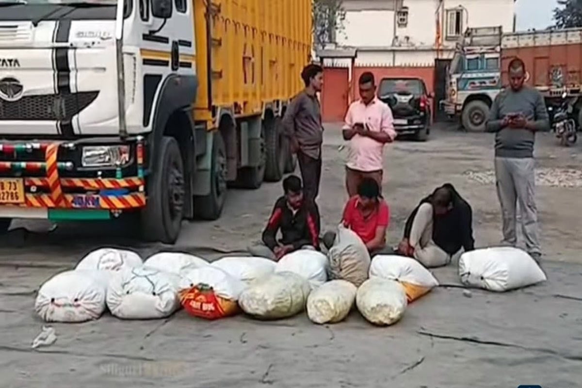 টোটোতে করে মাদকের হোম ডেলিভারির পর্দা ফাঁস, উদ্ধার কয়েক লক্ষ টাকার ট্যাবলেট, গাঁজা, ব্রাউন সুগার