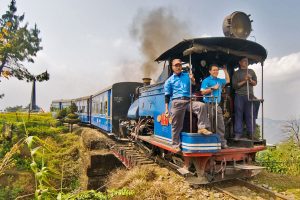 দার্জিলিংয়ে চাঁদনি রাতে চা পাতা তুলতে দেখা যাবে টয়ট্রেন থেকে! পর্যটকদের জন্য বড় উপহার হিমালয়ান রেলের