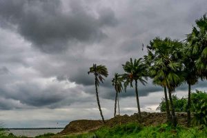বসন্তের আকাশে কালো মেঘের ঘনঘটা! দক্ষিণের ৮ জেলায় বৃষ্টির পূর্বাভাস, ভিজবে উত্তরও