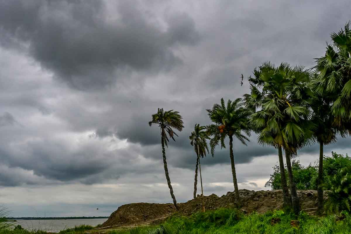 বসন্তের আকাশে কালো মেঘের ঘনঘটা! দক্ষিণের ৮ জেলায় বৃষ্টির পূর্বাভাস, ভিজবে উত্তরও