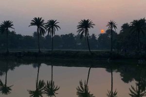 বসন্তে বৃষ্টিতে এক ধাক্কায় প্রায় ৪ ডিগ্রি পারদপতন! তাহলে কি থমকে গেল গরম?