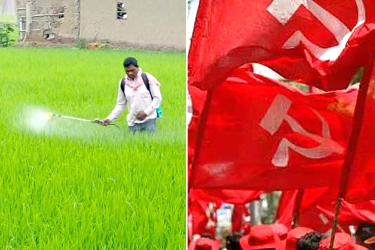 খেতে মজুরি না খাটলে হাঁড়ি চড়ে না! প্রচারে বেরলে সংসারের কী হবে? দুশ্চিন্তায় সিপিএম প্রার্থী