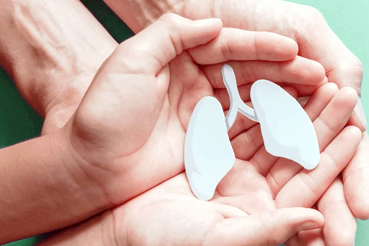 tuberculosis awareness not just lungs world tb day warning doctors