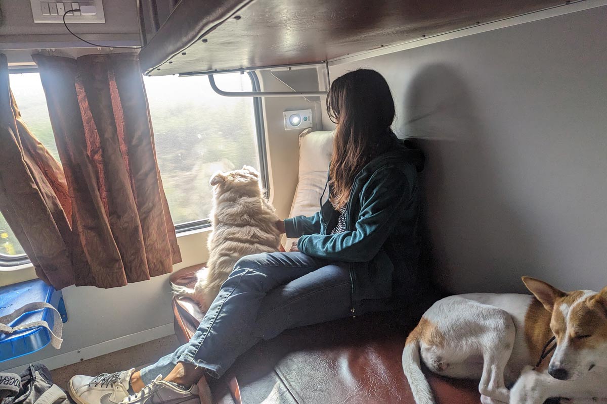 How to Travel with Pets by Train and Flight