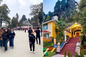 রান্নার গ্যাসের কমছে জোগান, ঝাঁপ বন্ধের আশঙ্কা দার্জিলিং-সিকিমের অনেক হোটেলের!