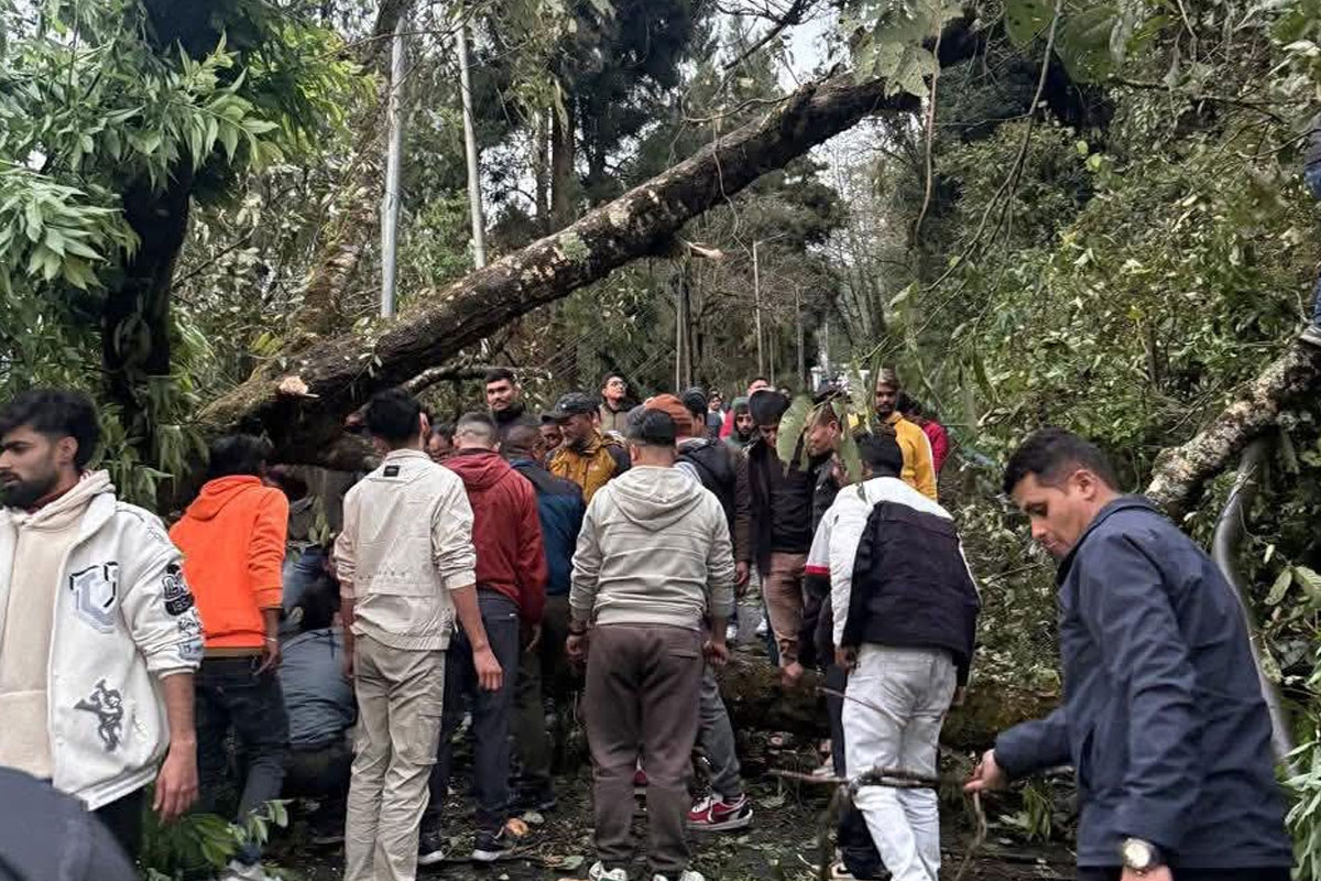 প্রবল ঝড় ও শিলাবৃষ্টিতে বিপর্যস্ত দার্জিলিং-সিকিম, গাছ পড়ে বিচ্ছিন্ন বহু এলাকা, আটকে পর্যটকরা