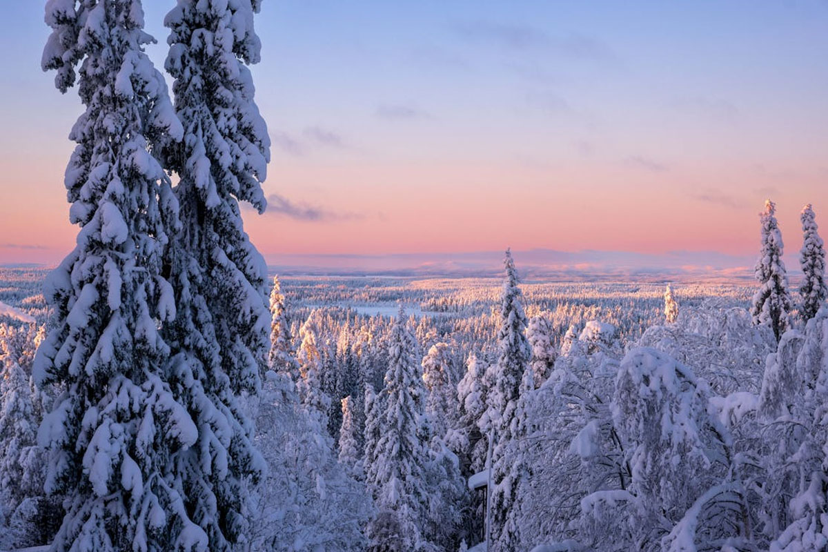 finland happiest country in the world offers free travel opportunity