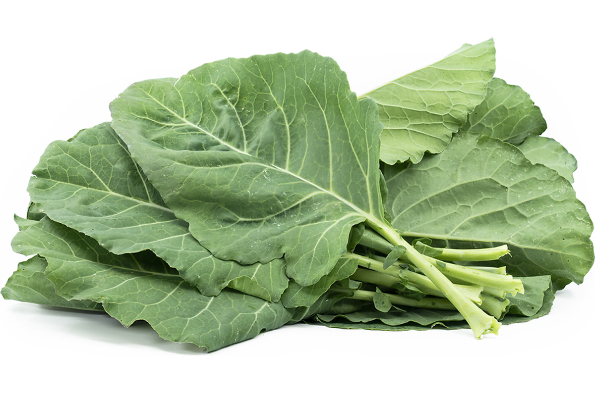 vegetables more calcium than kale bone health tips