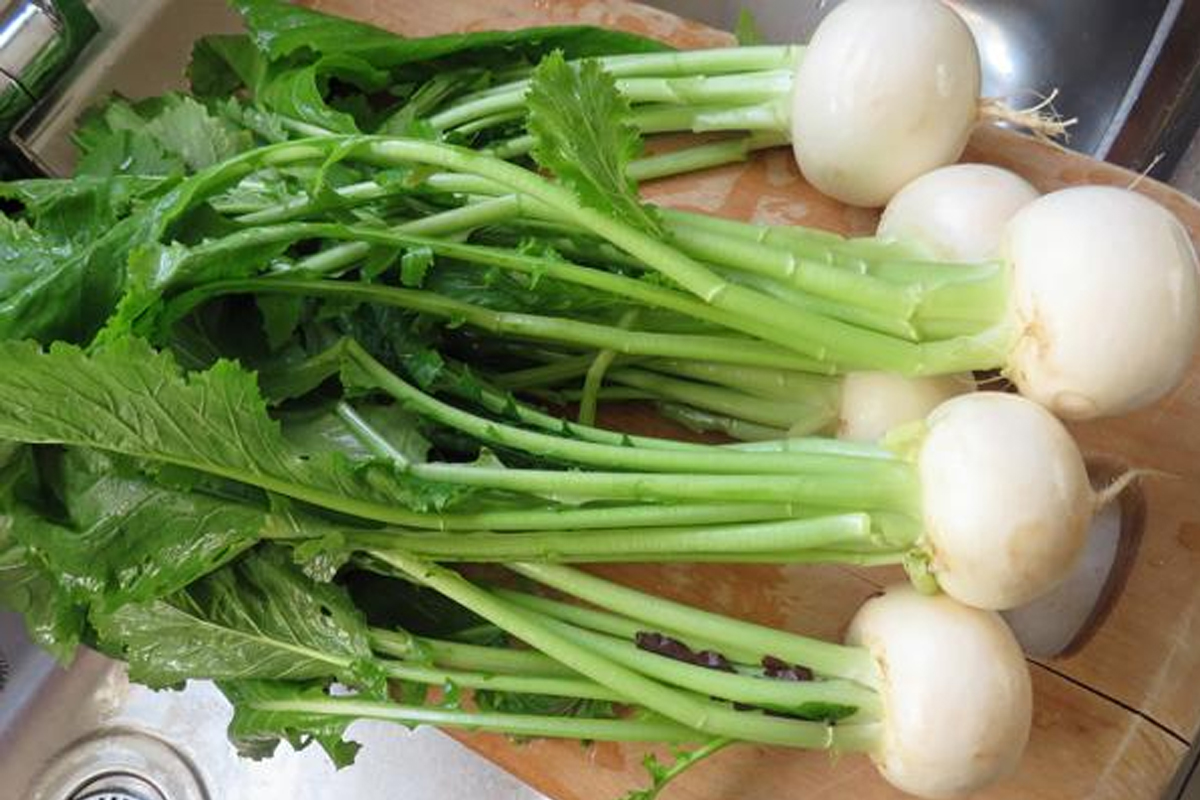 vegetables more calcium than kale bone health tips