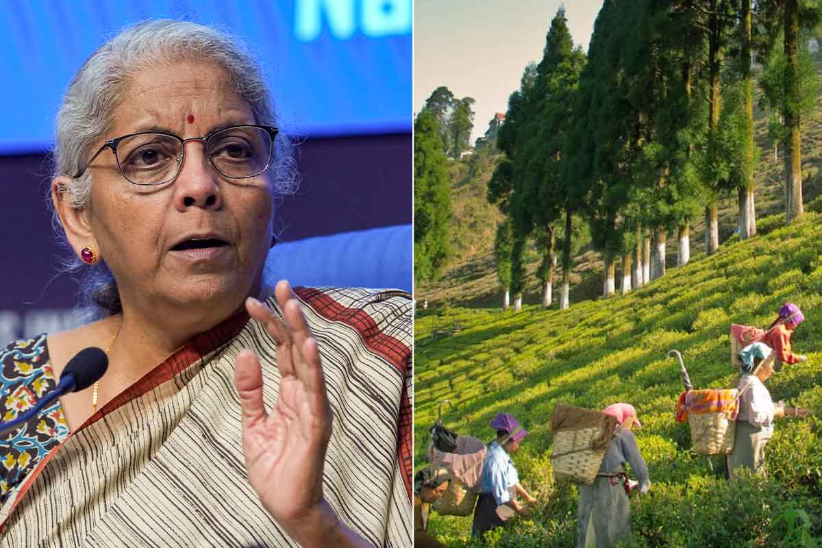 ‘চা শ্রমিকদের সঙ্গে অন্যায় হচ্ছে’, ভোটের মুখে রাজ্যকে টার্গেট নির্মলার, পালটা তৃণমূল