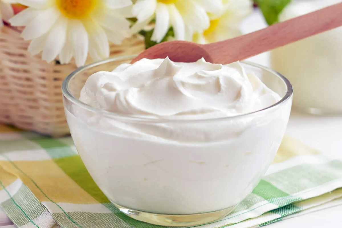 india probiotic leadership traditional fermented foods gut health