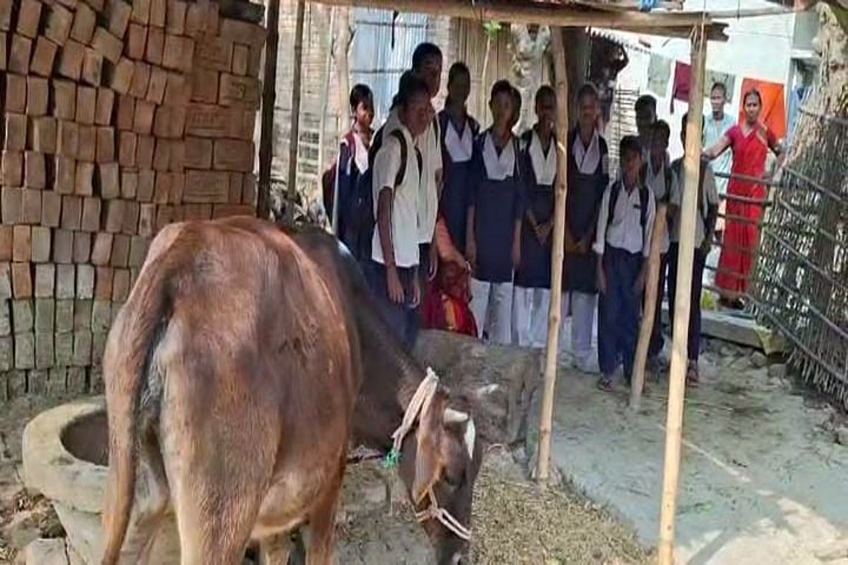 স্কুলে যাওয়ার একমাত্র রাস্তা আটকে সবজি চাষ, যাতায়াতে চরম সমস্যায় পড়ুয়ারা, নিরুপায় শিক্ষিকারাও