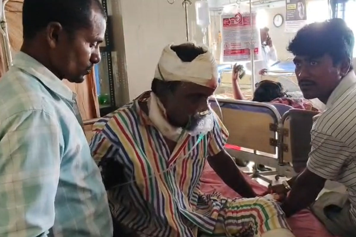 Fisherman survives fight with tiger in Sundarbans