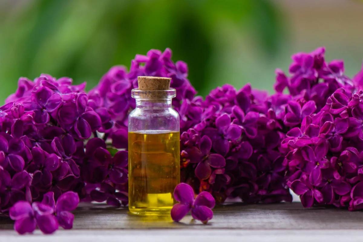 Essential Hair Oils for Men