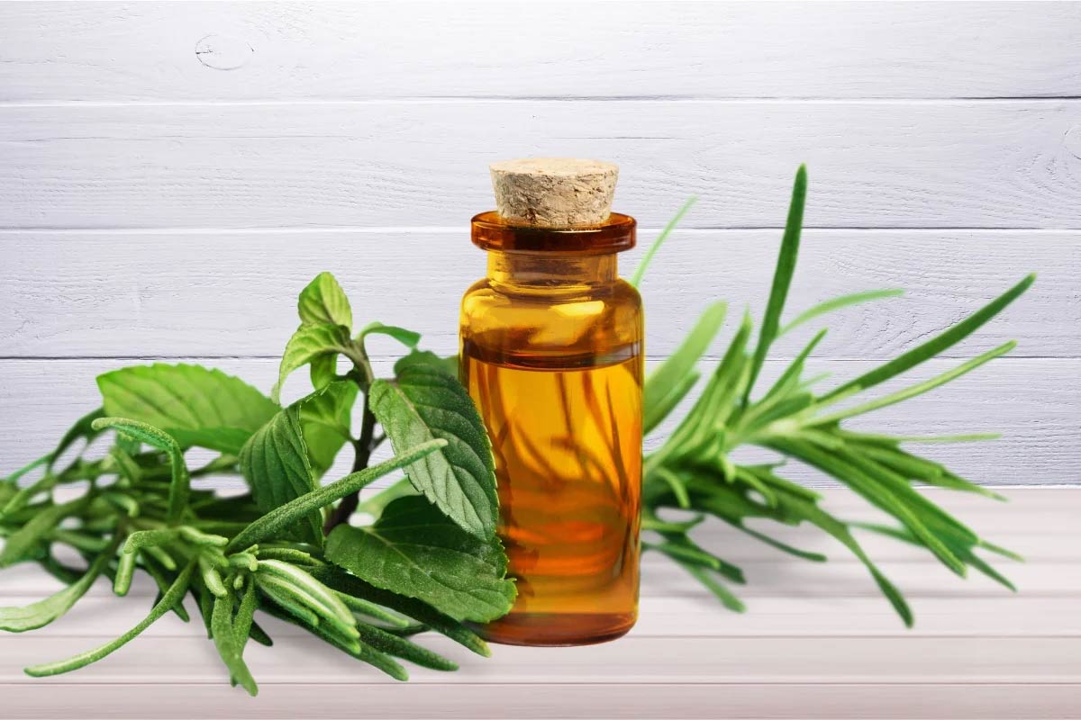 Hair Loss Tips: 4 essential oils for men that strengthen roots