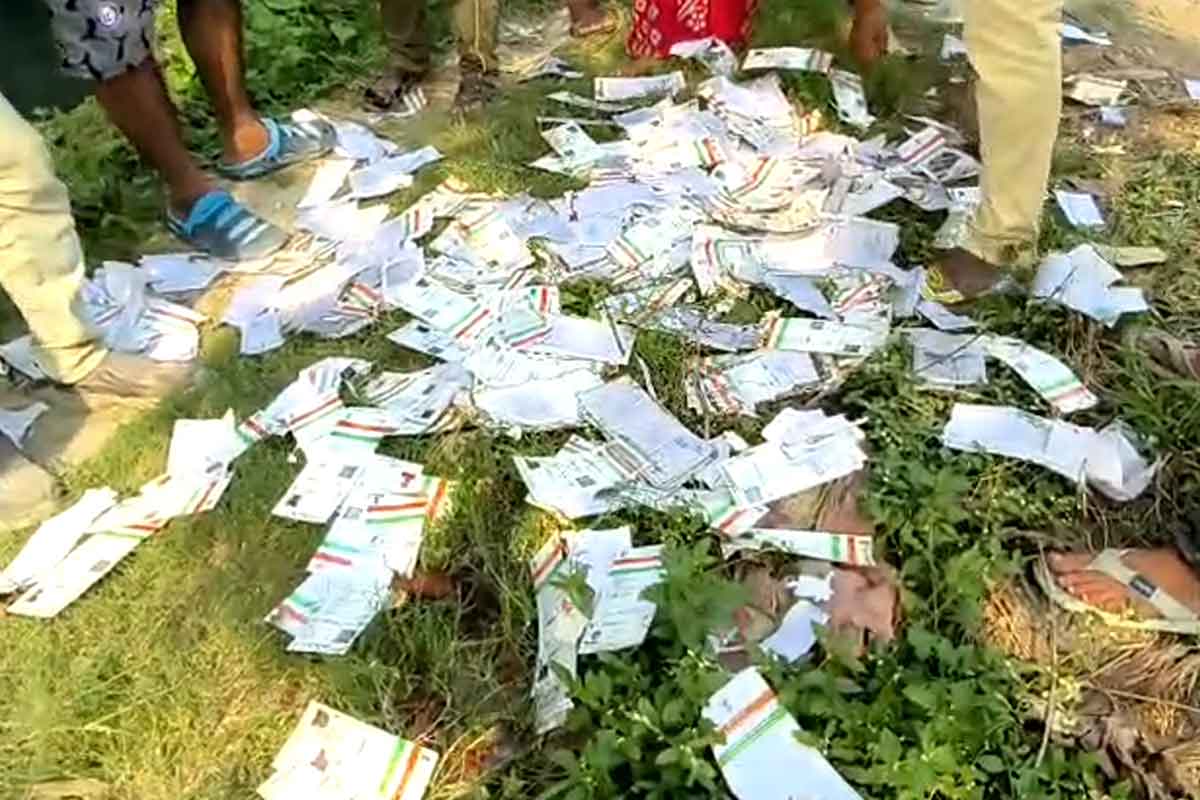 নিউটাউনে খালের পাড়ে কাঁড়ি কাঁড়ি আধার কার্ড! ‘নাম ছাঁটতে বিএলও-র কারসাজি’, বিস্ফোরক তৃণমূল