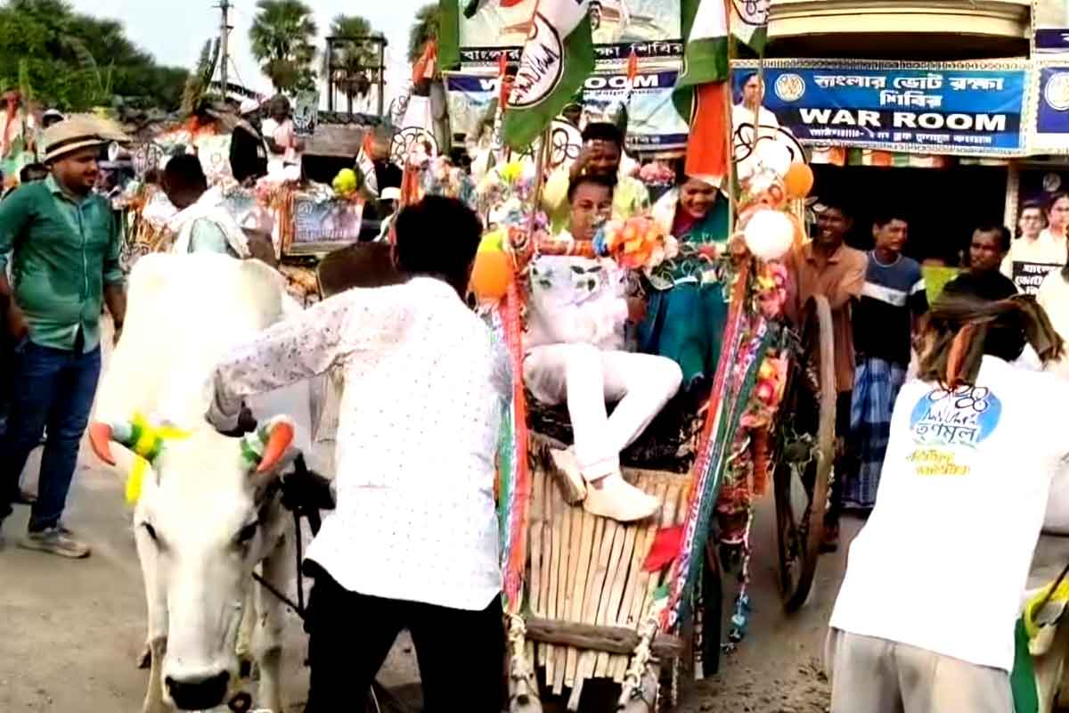 তৃণমূল প্রার্থী চড়তেই গাড়ি ছেড়ে পালাল গরু! আউশগ্রামে পরিস্থিতি সামলাতে হিমশিম অনুগামীরা