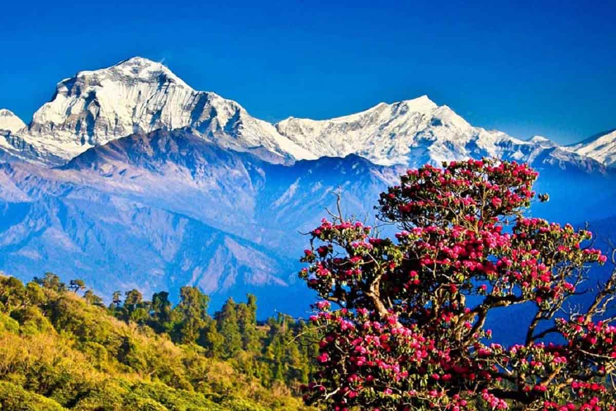 Bhutan to host its first International Travel Mart in Thimphu