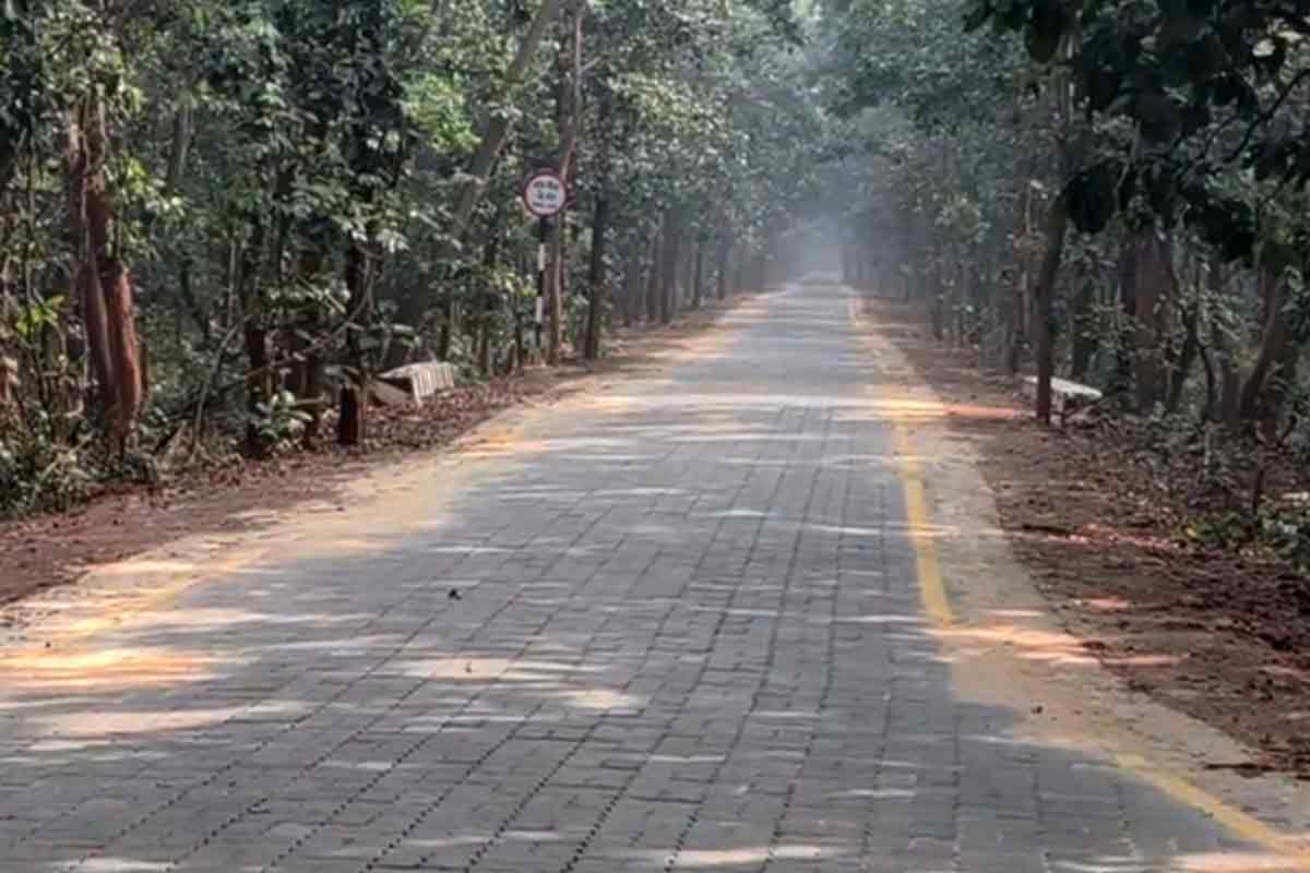 শাল-পিয়াল-মহুয়ার সঙ্গে ইতিহাসের টান, কলকাতার কাছের এই জায়গাটিতে পাড়ি জমাবেন নাকি?