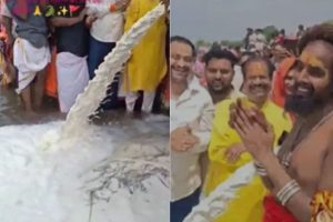 বিশ্বাসের কাছে হার যুক্তির! নর্মদায় ১১ হাজার লিটার দুধ ঢেলে পুজো, ভিডিও ভাইরাল হতেই তুঙ্গে বিতর্ক