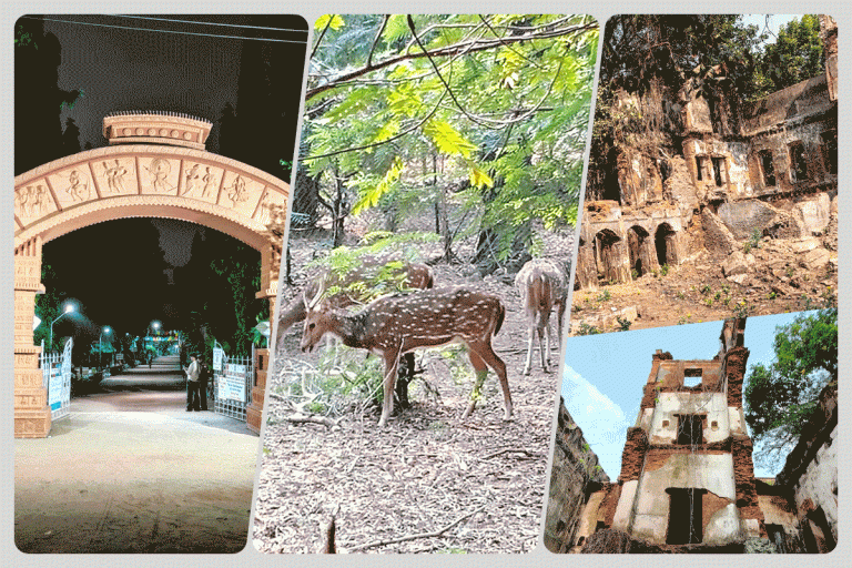 বিশ্বভারতী-সোনাঝুরি হাট অনেক হল, এবার শান্তিনিকেতন গেলে অবশ্যই ঘুরে আসুন এই জায়গাগুলি