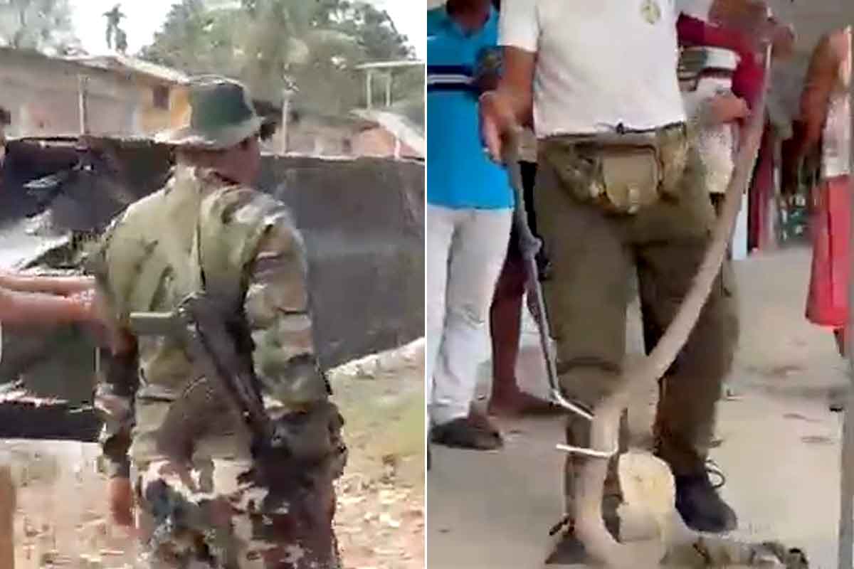 জওয়ানদের ক্যাম্পে ঘাপটি মেরে বসে আস্ত গোখরো! ভোটের ডিউটি ভুলে ভয়ে হুলস্থুল কাণ্ড
