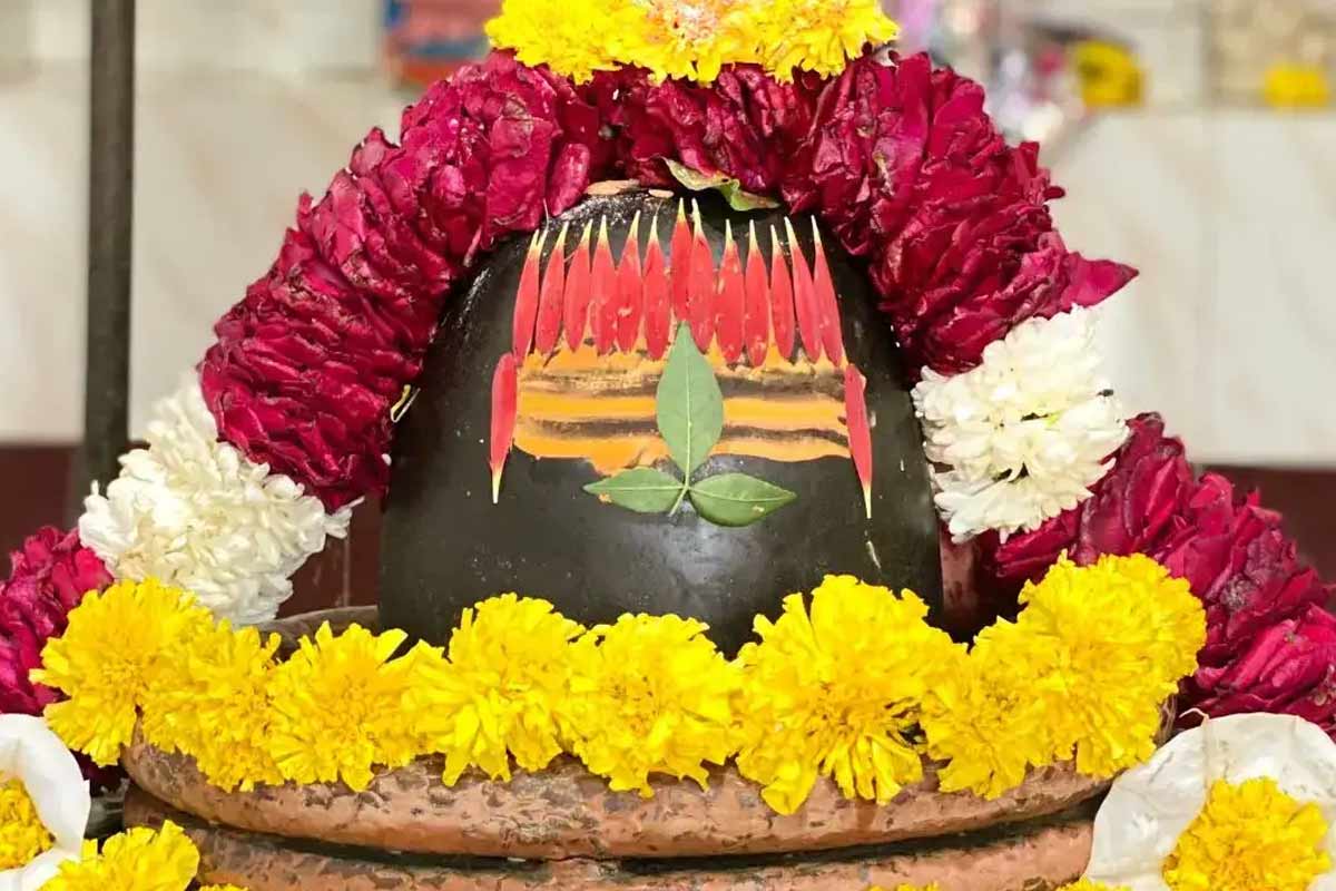 সন্তানের সুস্থতায় নীলষষ্ঠী করবেন? মহাদেবকে ভুলেও এই সামগ্রী অর্পণ নয়!