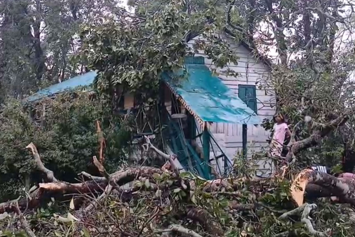 ভোরের কালবৈশাখীতে লণ্ডভণ্ড আলিপুরদুয়ার, বহু গাছ পড়ে ভাঙল রিসর্ট-অবরুদ্ধ রাস্তা!