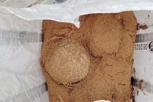 অশান্তিহীন নির্বাচন ভয়ের ভাঙড়ে, ভোট মিটতেই উদ্ধার হল তাজা বোমা