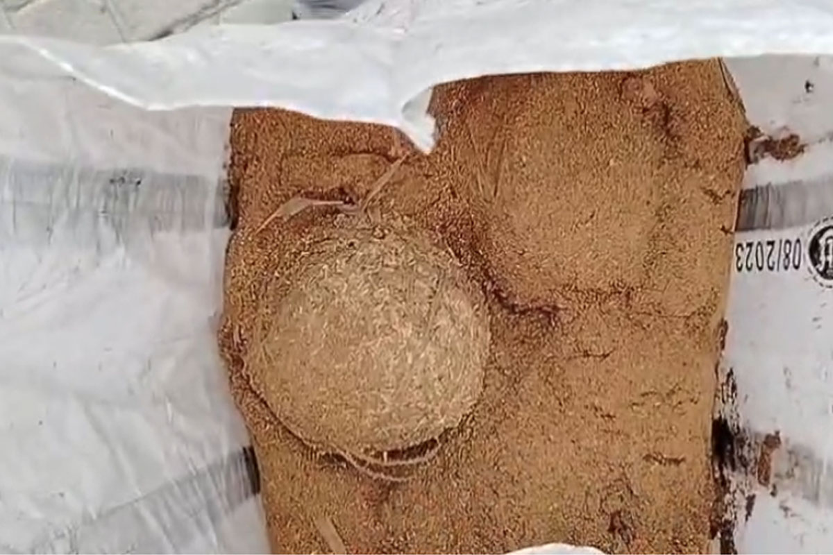 অশান্তিহীন নির্বাচন ভয়ের ভাঙড়ে, ভোট মিটতেই উদ্ধার হল তাজা বোমা