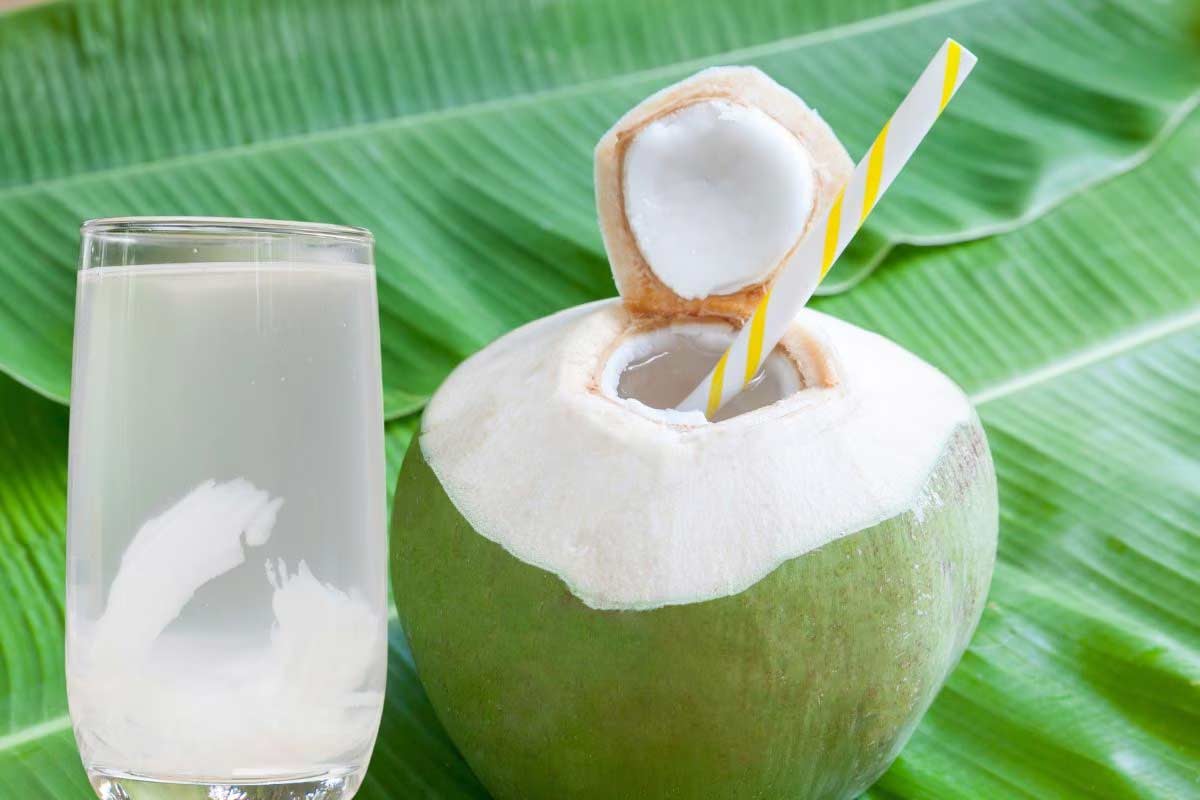Beat the Heat: Essential Summer Foods and Drinks