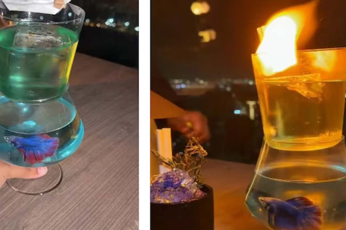 Mumbai Restaurant Co owned By Sanjay Dutt faces taunt for Serving Cocktail With Live Fish