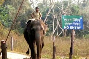 খাতায়-কলমে সরকারি কর্মী, নির্বাচনের সময় ডিউটিও পড়ে, ভোট দেওয়ার অধিকার নেই সূর্য, তিস্তাদের!