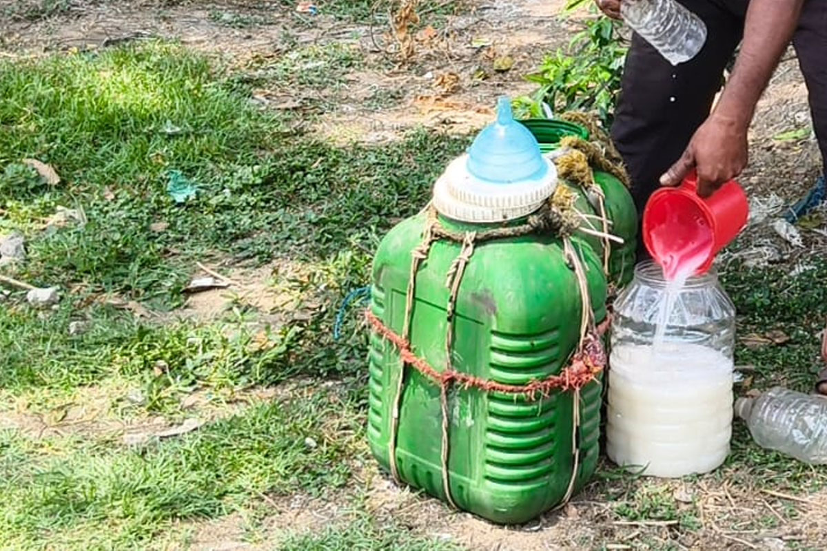 ভোটের ড্রাই ডে-তে মিলবে না মদ, সুরাপ্রেমীরা মজে তালরসে!