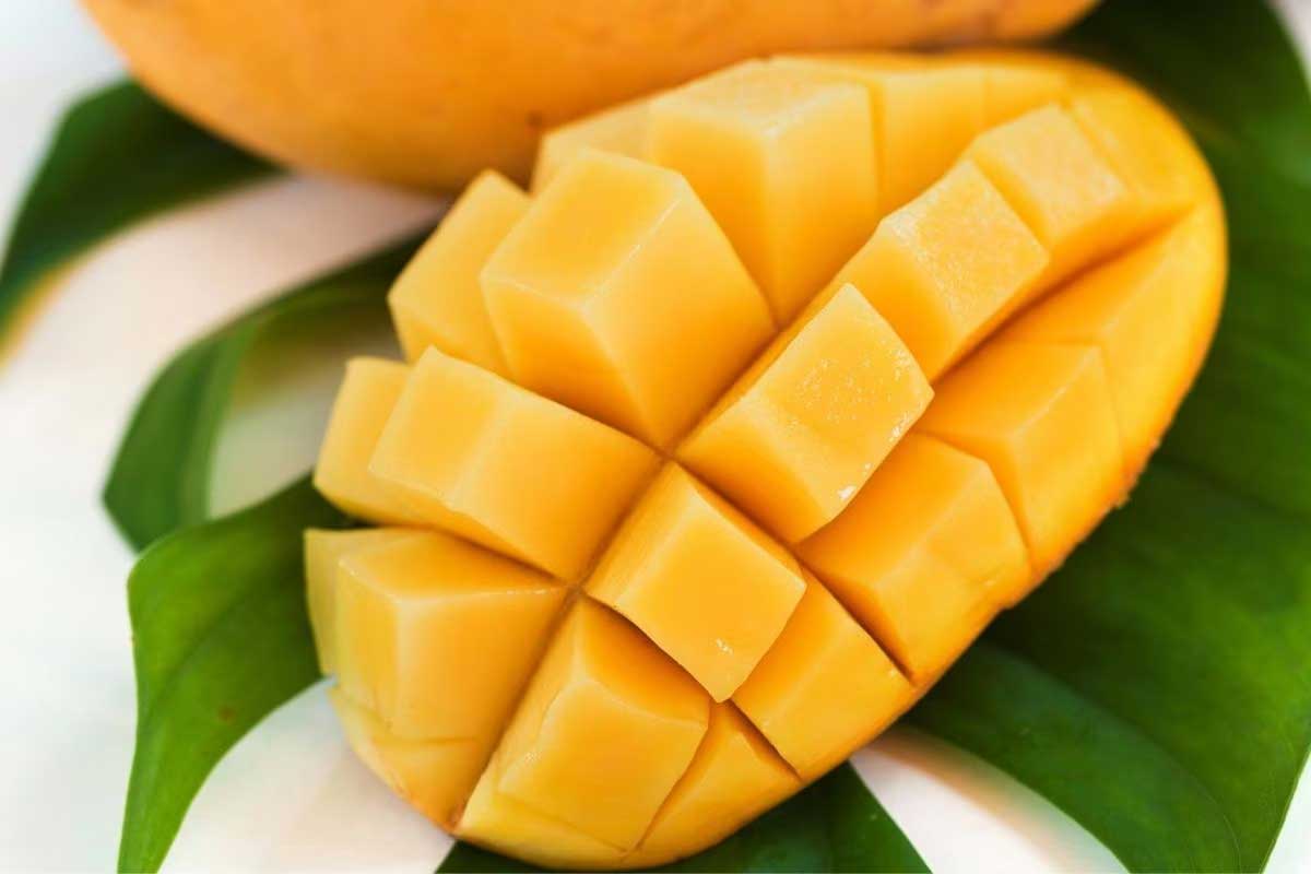 Mango Lassi Recipe