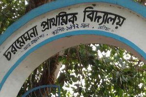 ভারতীয় হয়েও কাঁটাতারের যন্ত্রণা, সীমান্তের ওপারে সব কিছু! দেশে ফেরার আশায় ভোট দেবে চর মেঘনা