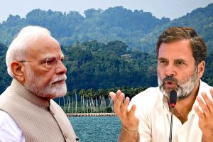 গ্রেট নিকোবরে উন্নয়নের নামে লক্ষ লক্ষ বৃক্ষ নিধন! সবুজ ধ্বংসে মোদি সরকারকে কটাক্ষ রাহুলের