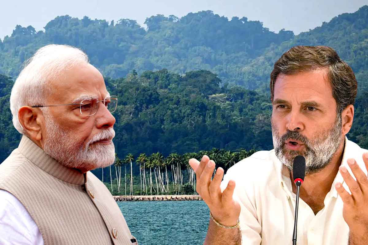 গ্রেট নিকোবরে উন্নয়নের নামে লক্ষ লক্ষ বৃক্ষ নিধন! সবুজ ধ্বংসে মোদি সরকারকে কটাক্ষ রাহুলের