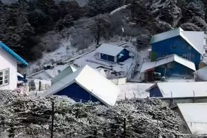 ফের ফালুট, সান্দাকফুতে ভারী তুষারপাত, পর্যটকদের না যাওয়ার পরামর্শ!