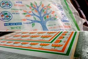 বাইরে ভোটের তীব্র লড়াই হলেও শান্তিপুরি তাঁতে পদ্ম-ঘাসফুলের সহাবস্থান! শাড়ি তৈরিতে ব্যস্ত শিল্পীরা
