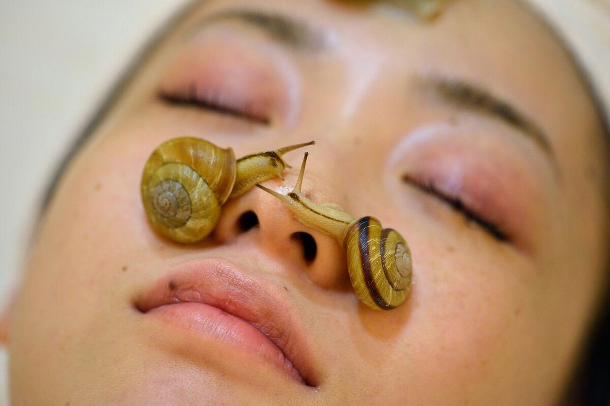 Snail mucin for skincare in ancient beauty tips for glowing and hydrated skin