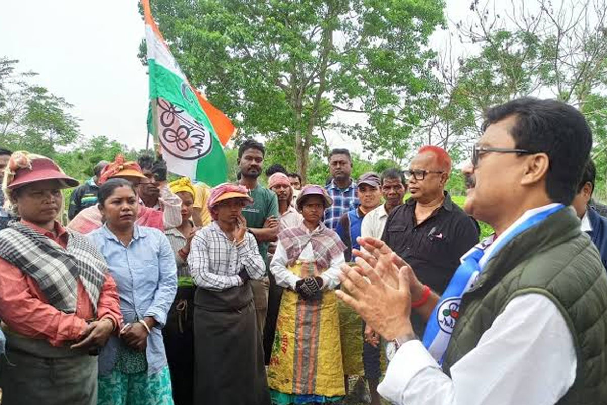 WB Assembly Election 2026: TMC candidate's public relations with tea workers
