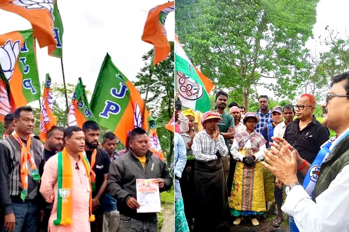 চা বলয়ই ১৬ কেন্দ্রের ভাগ্যবিধাতা, তৃণমূল-বিজেপির শেষবেলার প্রচারে শ্রমিকের মন জিতবে কারা?