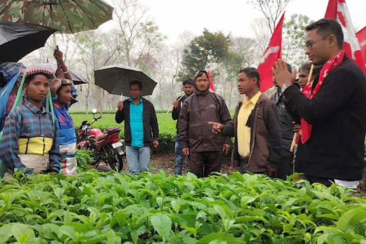 WB Assembly Election 2026: CPM candidate talks to tea workers