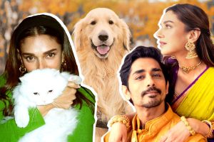 ‘মুখটা পুরো গোল্ডেন রিট্রিভারের মতো’, স্ত্রী অদিতিকে কেন এমন ‘খোঁচা’ সিদ্ধার্থর?