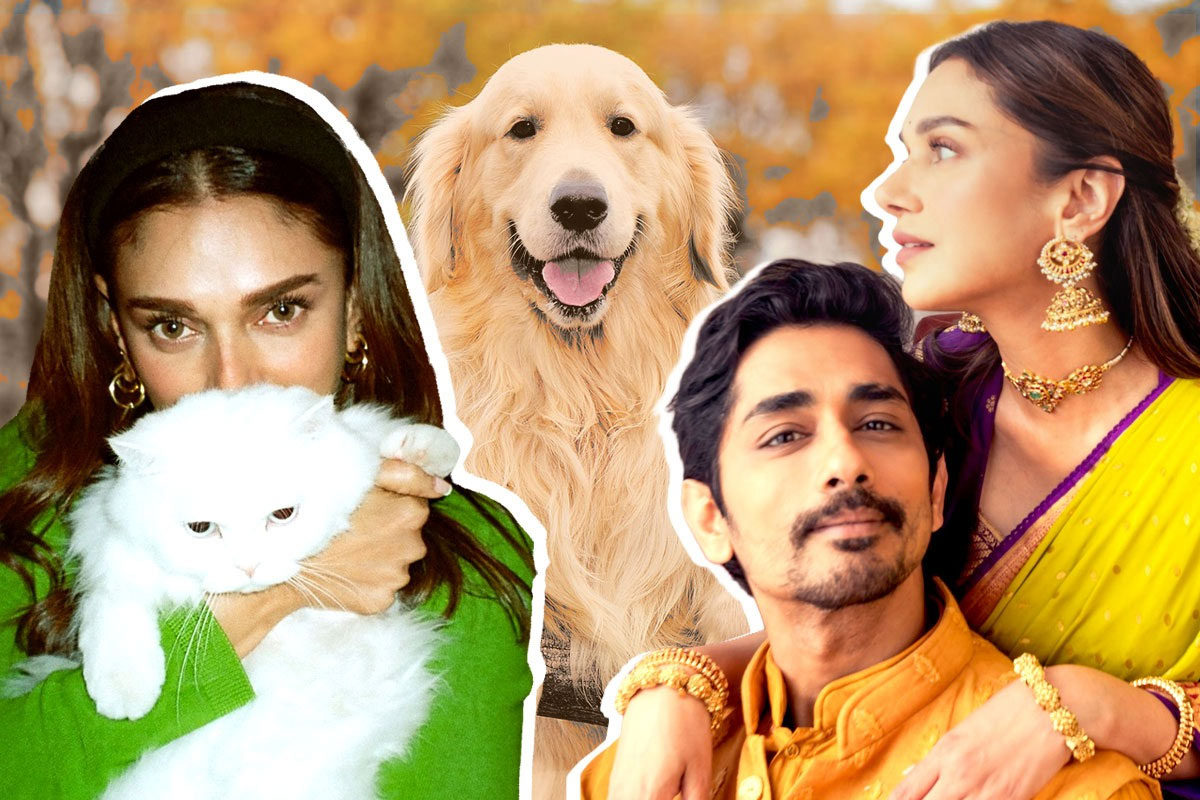 ‘মুখটা পুরো গোল্ডেন রিট্রিভারের মতো’, স্ত্রী অদিতিকে কেন এমন ‘খোঁচা’ সিদ্ধার্থর?